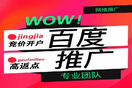 社交媒体平台推广开户费用案例研究